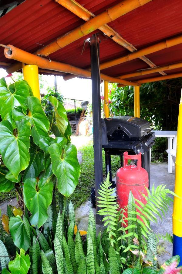 Casa Finca Villa Luz A 800 Mts Del Parque Del Cafe Montenegro Ngoại thất bức ảnh